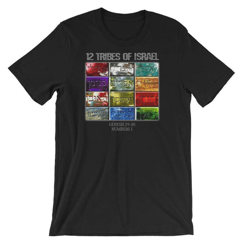 12 Tribes Of Israel - Hebrew Israelite T- Shirt Clothing - slvhasitall