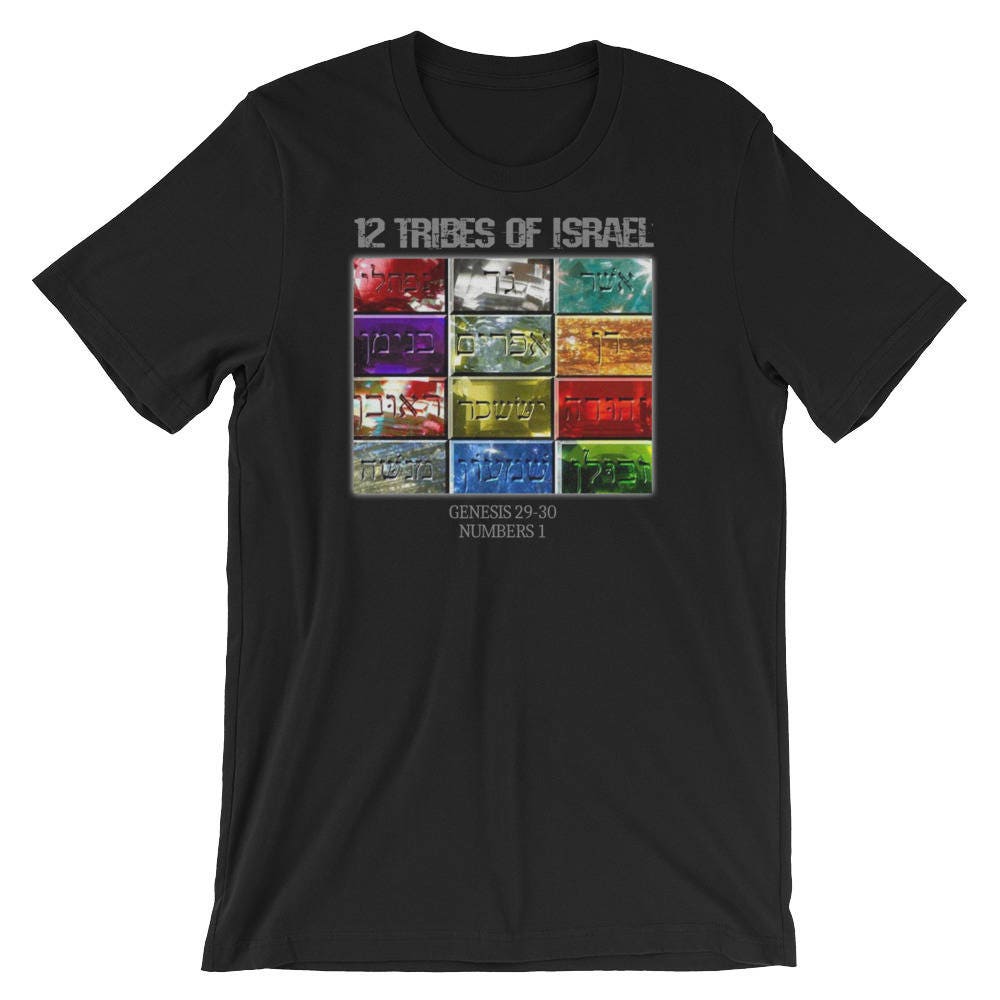 12 Tribes Of Israel - Hebrew Israelite T- Shirt Clothing - slvhasitall