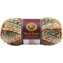 画像をギャラリービューアに読み込む, Lion Brand Wool-Ease Multi-Color Yarn
