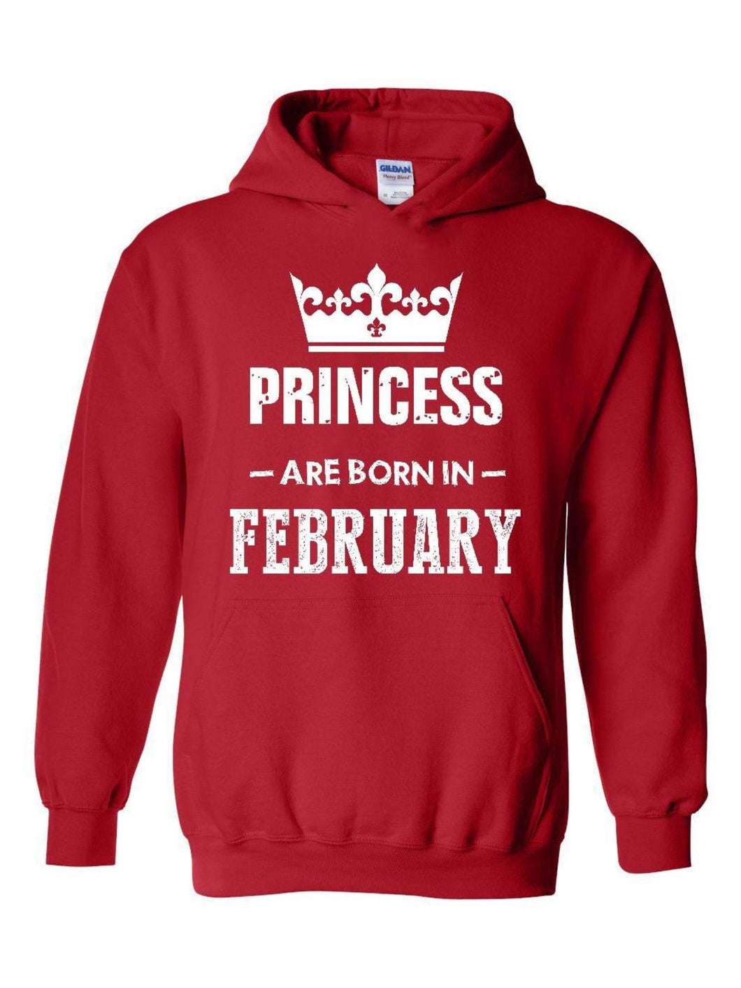 Birthday Gift Princess are Born in February Hoodie Sweatshirt