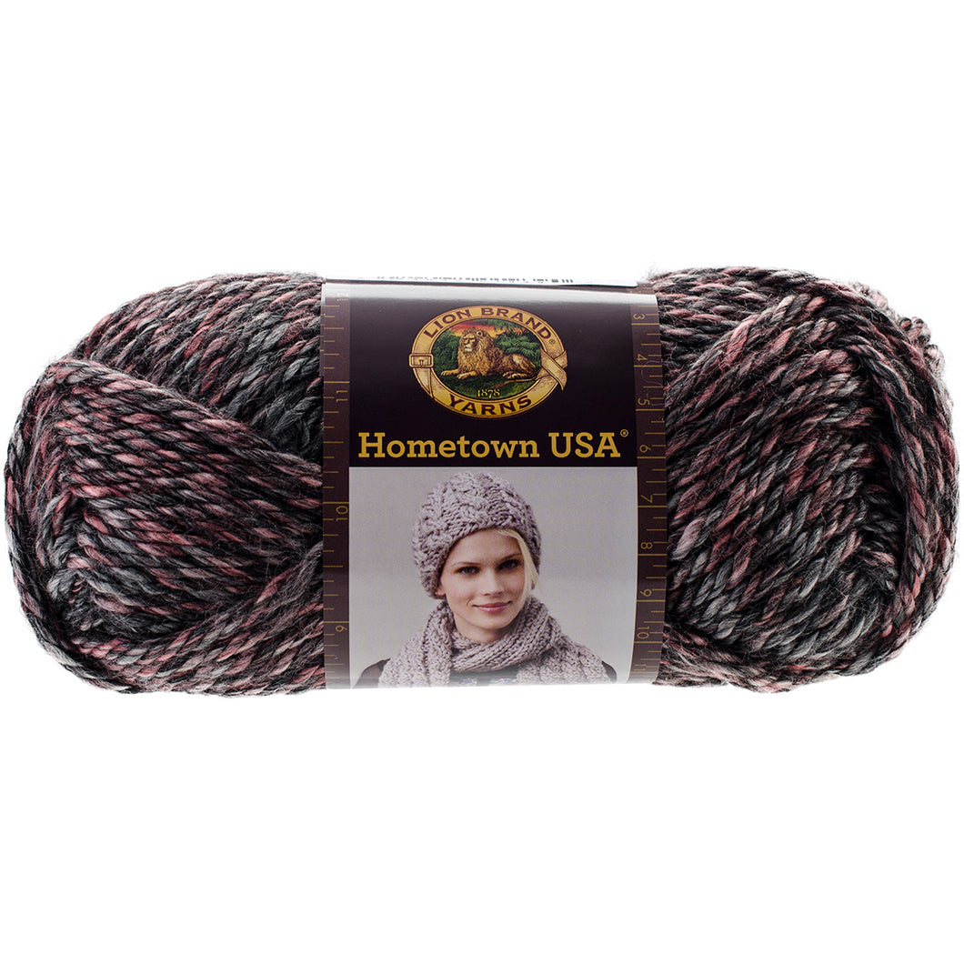 Lion Brand Hometown USA Salem Creek Yarn, 81 yards