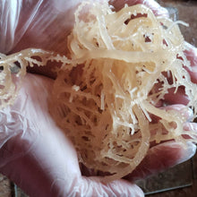 Load image into Gallery viewer, 16oz* 100% Organic Wild-Crafted Irish Sea Moss Gel Sealed
