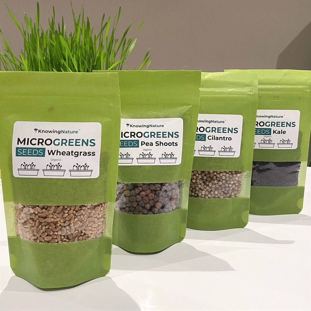 Micro Greens Seeds, Resealable Packs, Organic, Easy to Grow